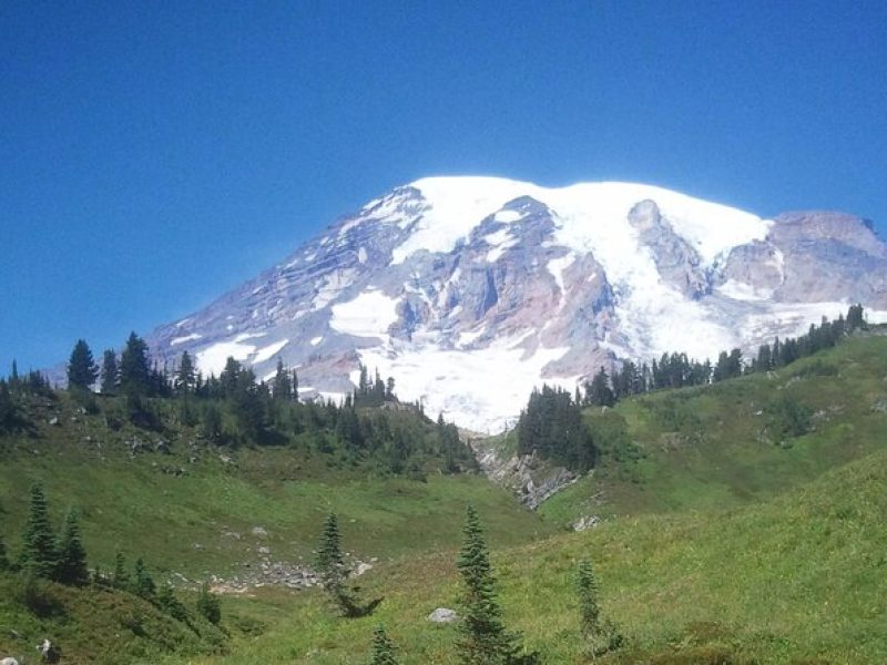 Mt Rainier Private Tour Experience in SUV