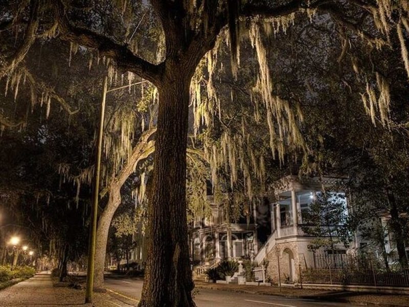 Late Night Savannah Haunted Pub Crawl