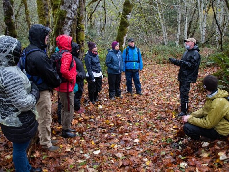 Foraging Tour of Edible Plants and Mushrooms in Brinnon