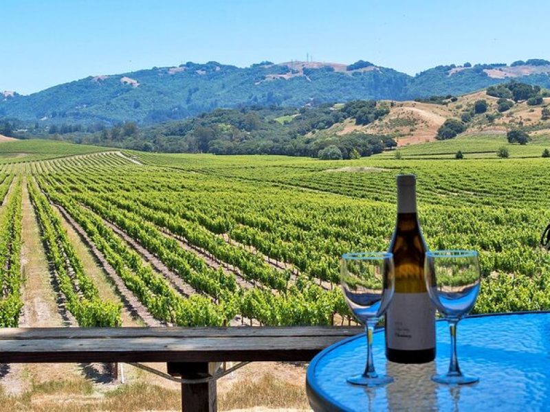 Private Sonoma Valley Wine Country Charter Transportation