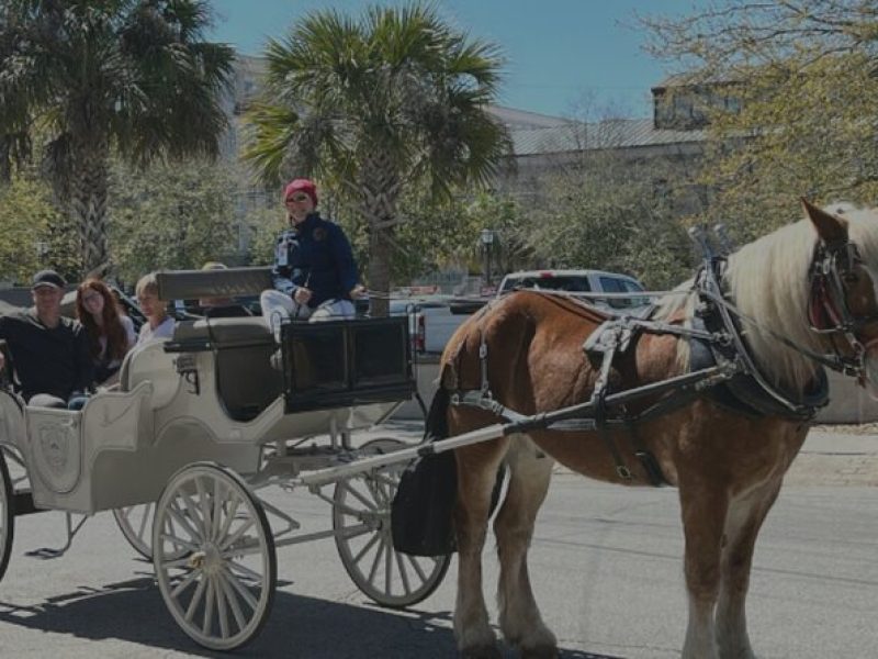 Private Evening Haunted History Carriage Tour in Charleston