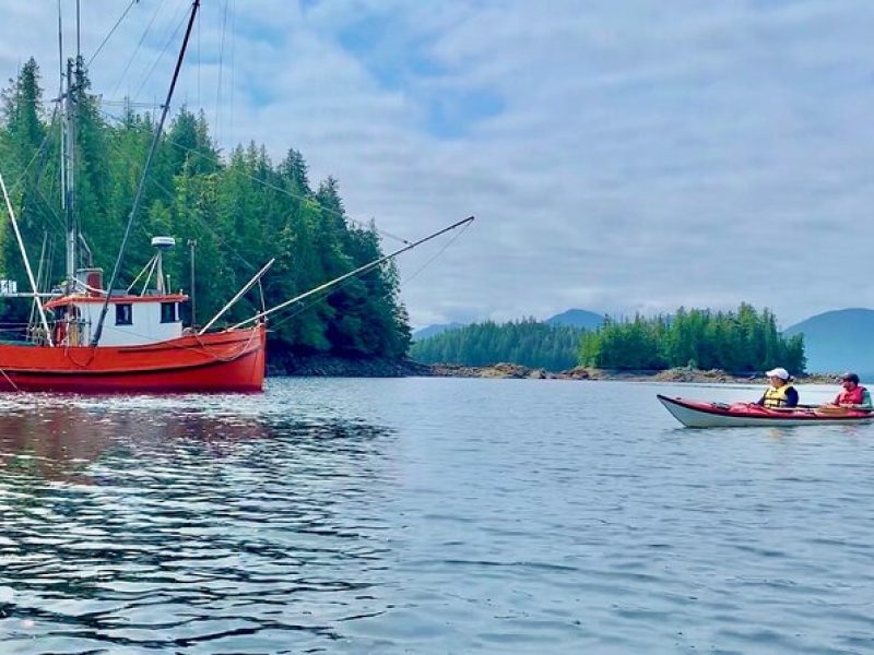 Orca Cove Sea Kayaking