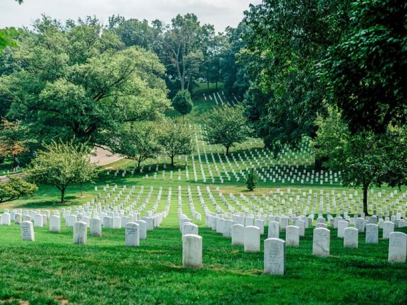 Arlington Cemetery Walk with Tomb Unknown Soldier & JFK Gravesite