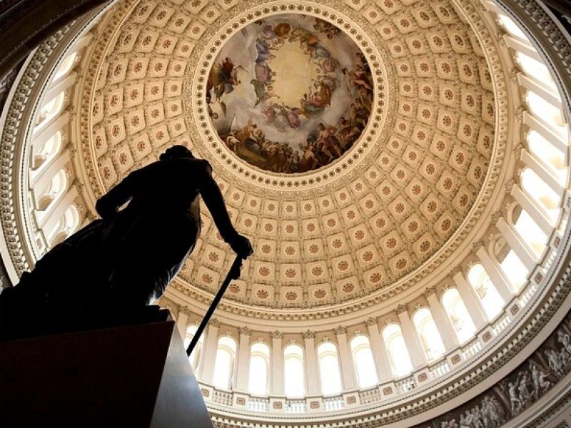 US Capitol & Library of Congress Guided Tour with Capitol Hill