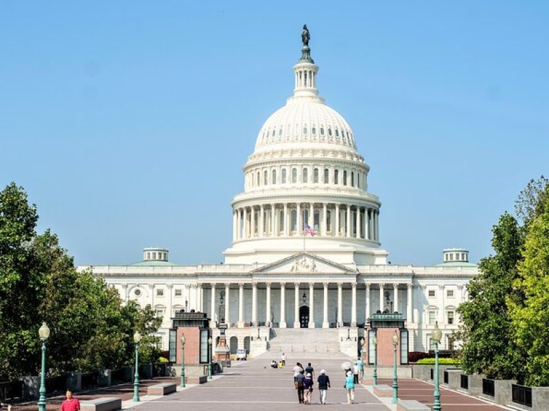 US Capitol & Library of Congress with Guided Walk of Capitol Hill