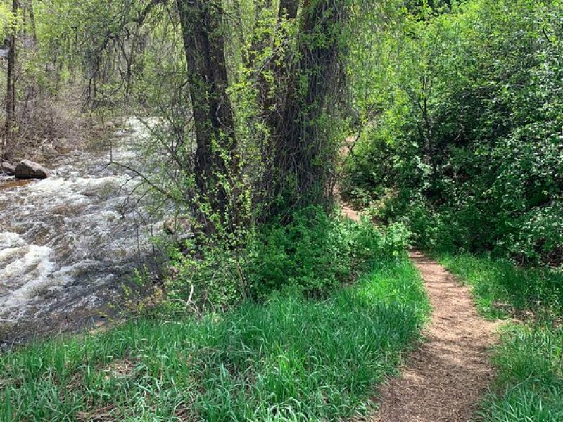 Leisure Hike – East Aspen Hunter Creek