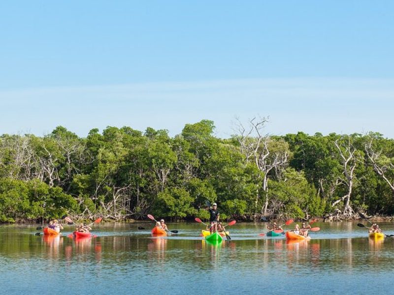 Half-Day Morning Trip from Key West with Kayaking and Snorkeling