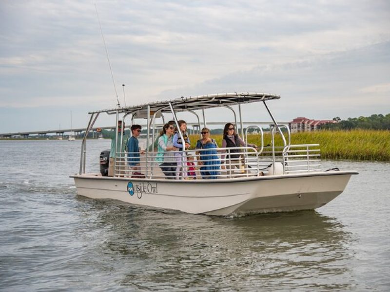 90 Minute Hilton Head Dolphin and Nature Cruise