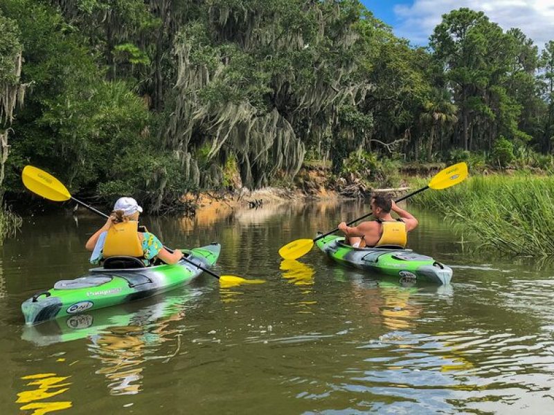 Hilton Head Outback Boat and Kayak Adventure