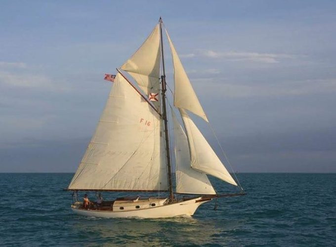 Private Charter Day Sail For up to 6 People