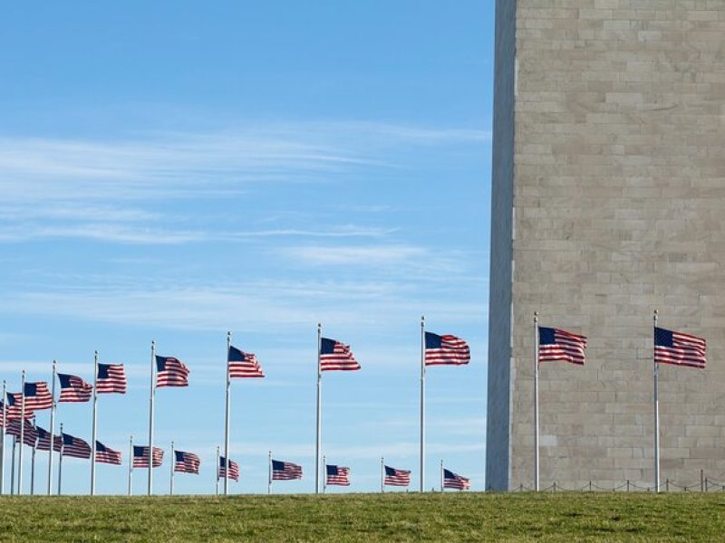 Mt. Vernon Full Day Tour with Guide