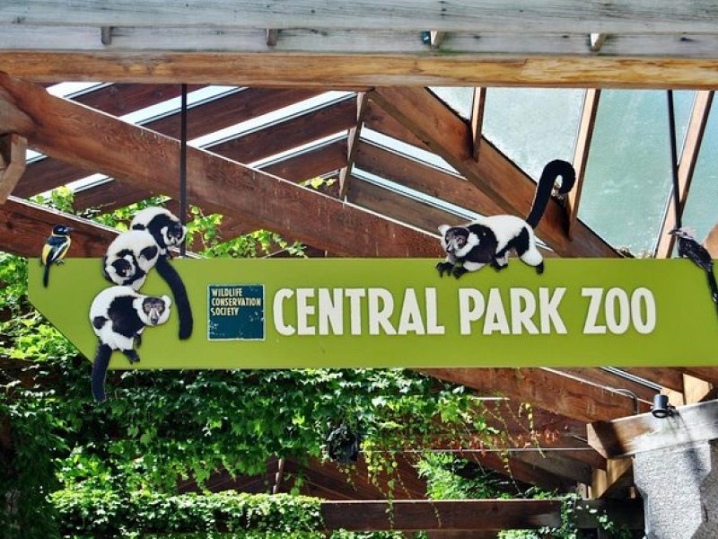 See 30 Top New York Sights (Walking Tour) & Visit Central Park Zoo.