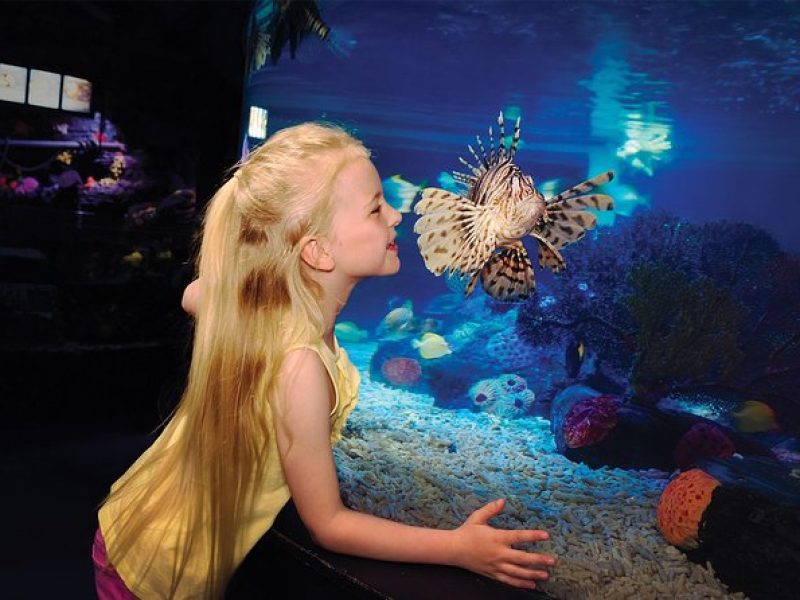 SEA LIFE San Antonio Admission Ticket