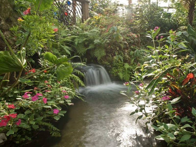 Butterfly Rainforest at Florida Museum of Natural History Ticket