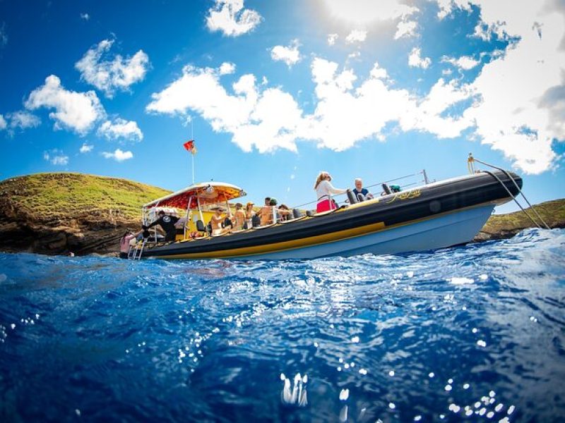 3 Hours Koa Kai Afternoon Snorkel Adventure in Maui