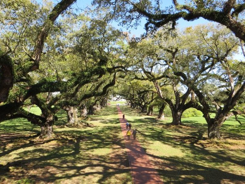 Oak Alley Plantation and New Orleans City Tour