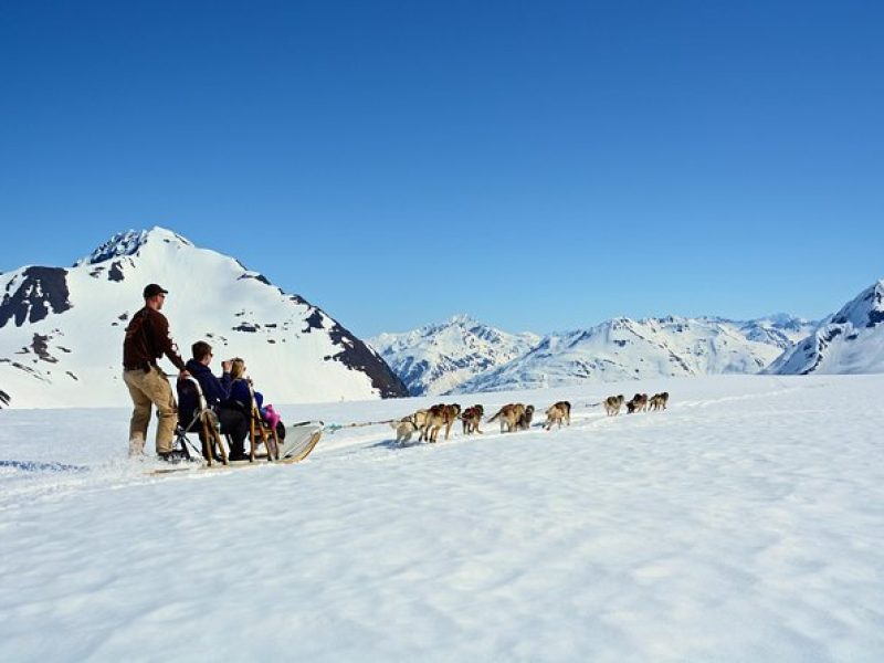 Summer Glacier Dogsledding Tour from Girdwood