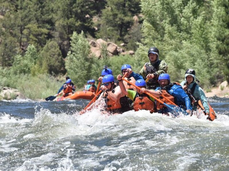 Royal Gorge Half-Day Rafting Trip