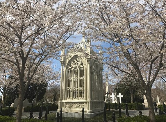 Highlights of Hollywood Cemetery Walking Tour