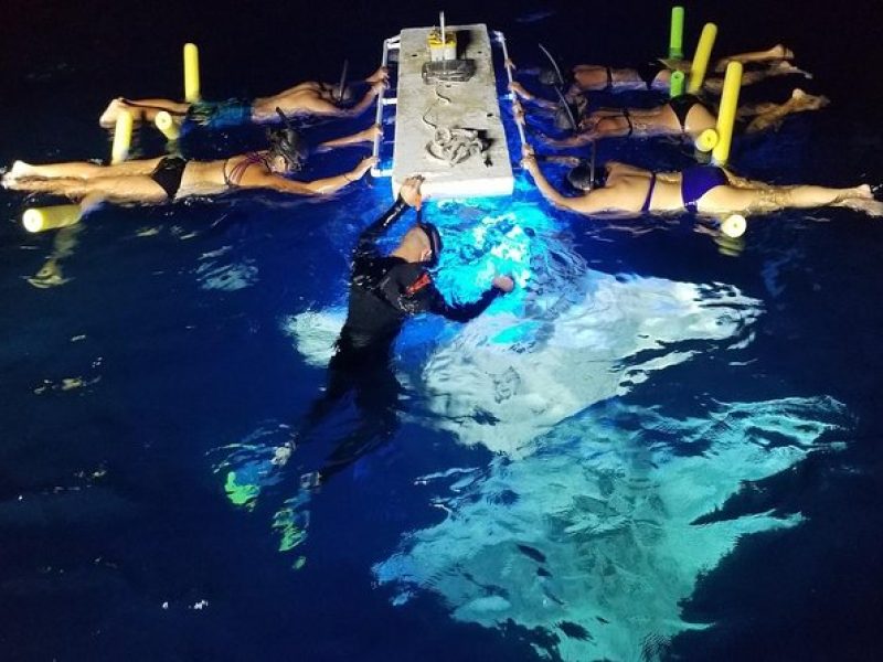 Manta Ray Night Snorkel – Experienced swimmers only