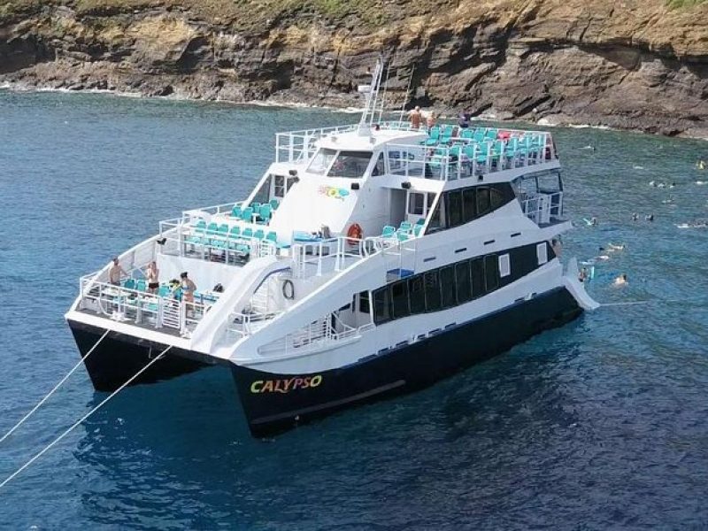 Molokini Snorkeling Adventure Aboard Calypso From Ma'alaea Harbor