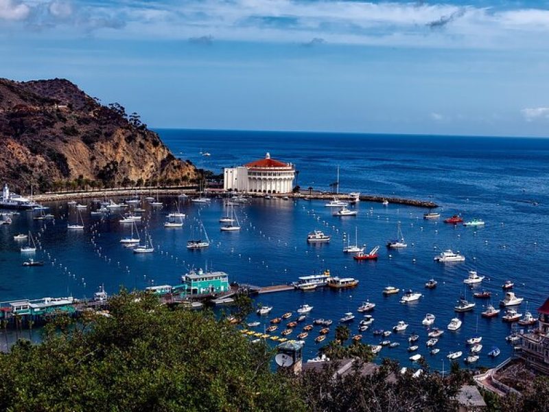 Catalina Island All Inclusive Sightseeing Tour From Orange County