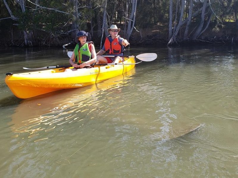 Manatee and Dolphin Kayaking | Haulover Canal (Titusville)