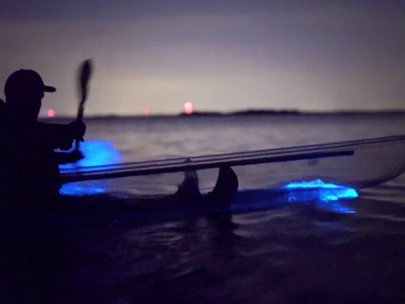 Clear Kayak Florida Bioluminescence Tour | Beacon 42 (Titusville)