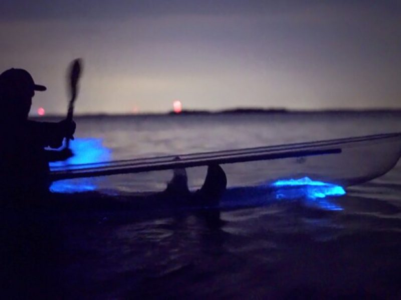 Florida Bioluminescence Clear Kayak Tour | Cocoa Beach (Kiwanis Island)