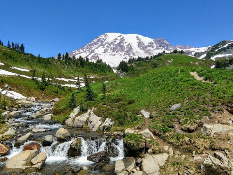 Mount Rainier National Park – Private Luxury Day Tour with Lunch