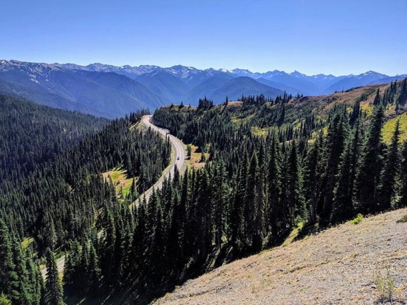 Olympic National Park Luxury Small-Group Day Tour with Lunch