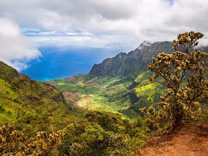 Waimea Canyon Private Tour with Local Guide