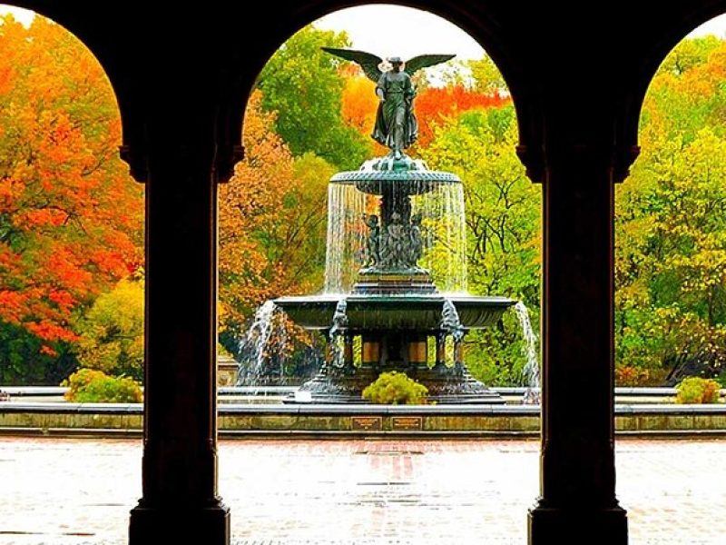 Central Park Experience: A Scenic & Historical Walking Tour