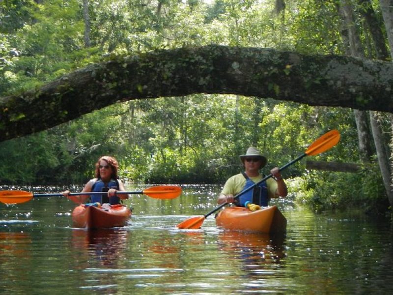 Lofton Creek Kayaking Trip with Professional Guide