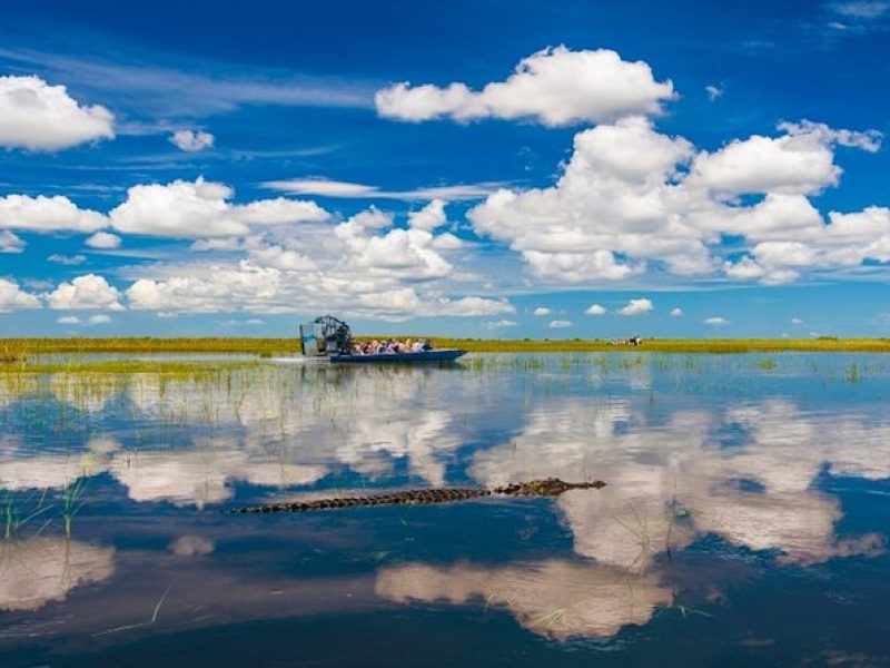 Everglades Small Group Express from Fort Lauderdale +Airboat Ride