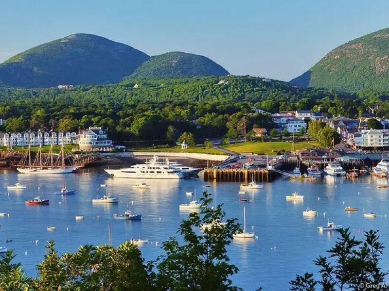 Best of Bar Harbor: 2-Hour Guided Food Walking Tour