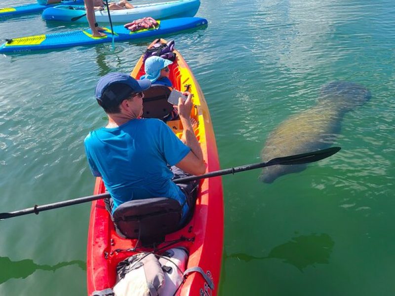 Mangroves, Manatees, and a Hidden Beach: Kayak Tour