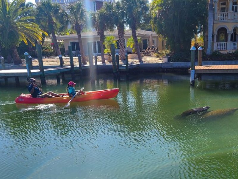 Siesta Key Kayak Tour