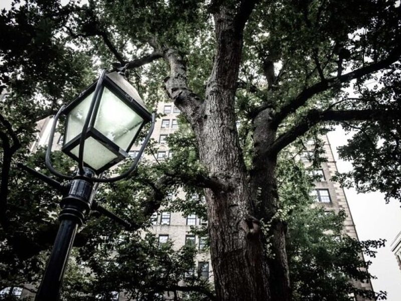 The Greenwich Village Ghost Tour in New York City