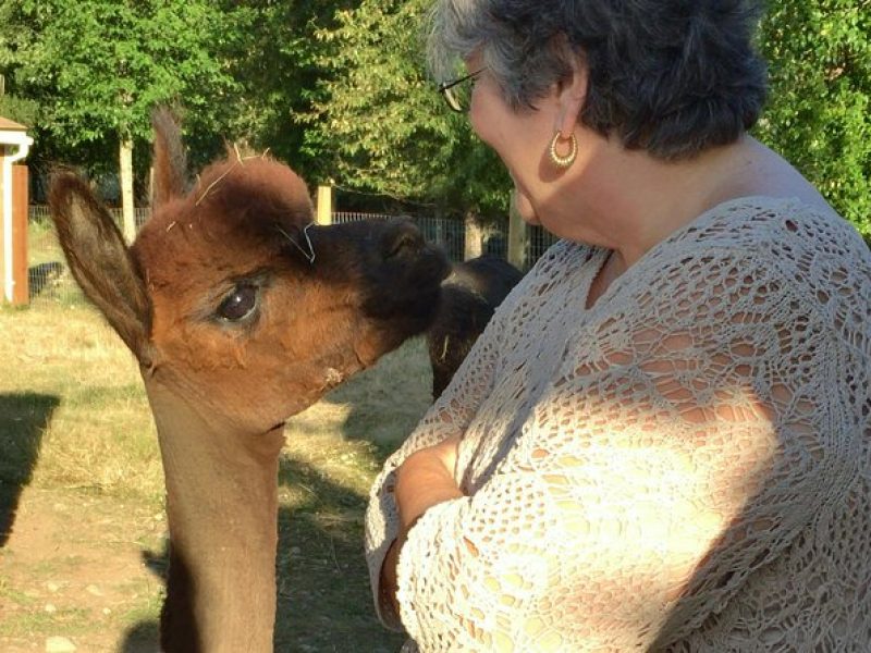 Alpaca Ranch and Fiber Processing Mill Tour