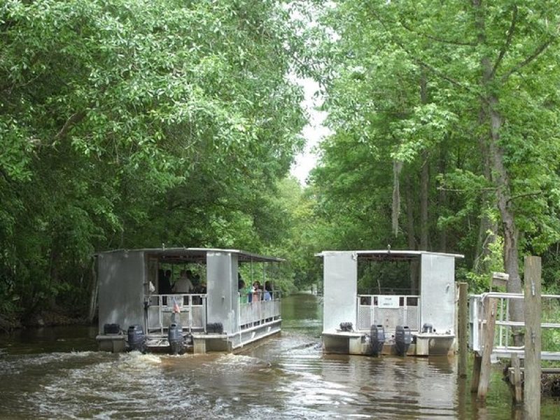 Jean Lafitte 90-Minute Swamp and Bayou Boat Tour