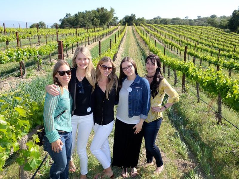 Santa Barbara Small-Group Wine Tour to Private Estates & Wineries