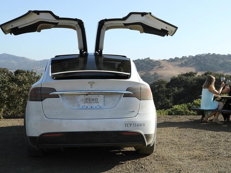 Private Santa Barbara Winery and Estate Tour in Tesla SUV