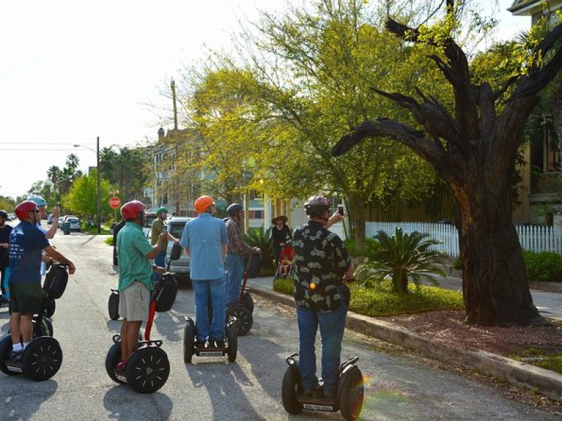 Galveston Tree Carvings Segway Tour