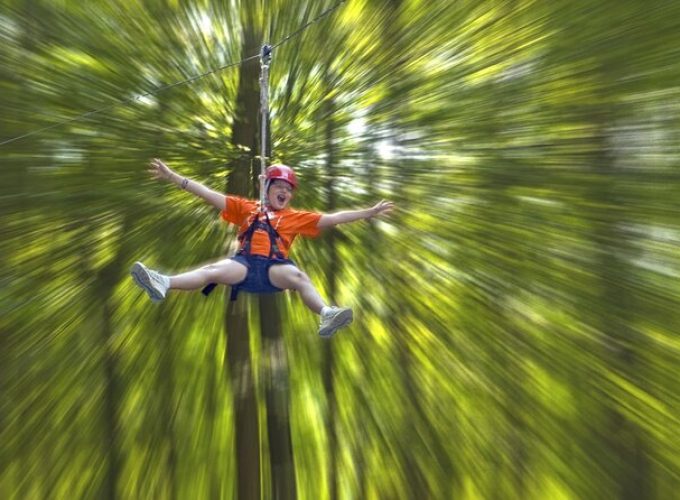 Wetland Zip Tour