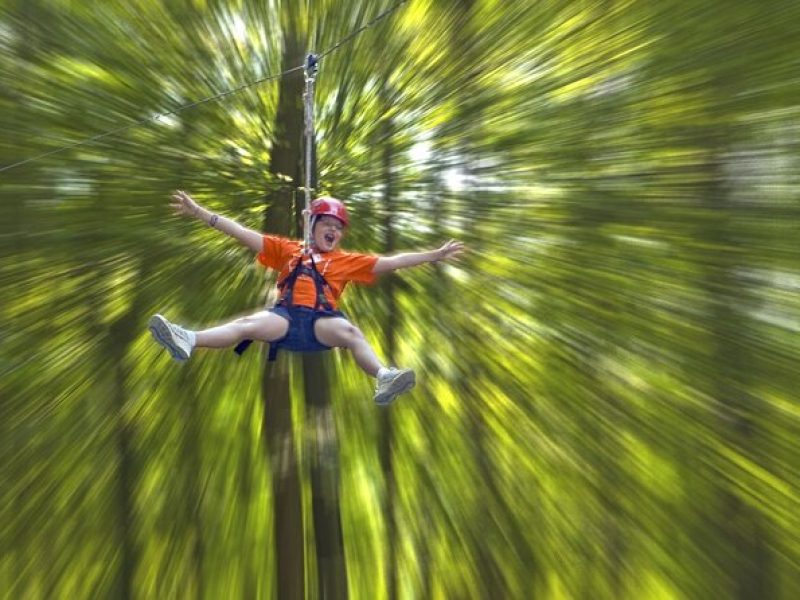 Wetland Zip Tour