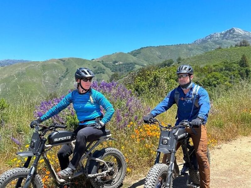 Big Sur Electric Bike Tour Along Old Coast Road