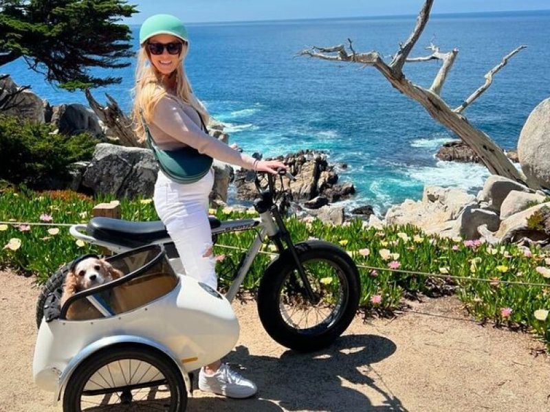 Dog-Friendly Electric Bike and Sidecar Guided Tour