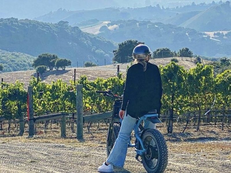 Albatross Ridge Vineyards Electric Bike Tour & Wine Tasting