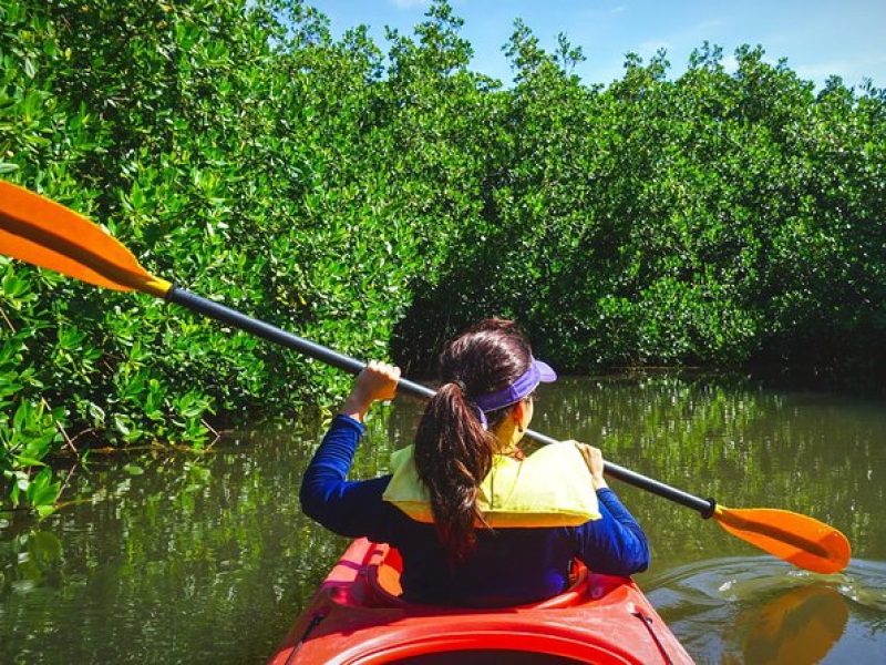 Fort Lauderdale’s Tropical Kayak Tour and Island Adventure